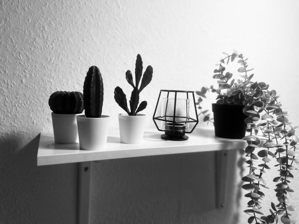 Komfortables Apartment Karlsruhe Kültér fotó